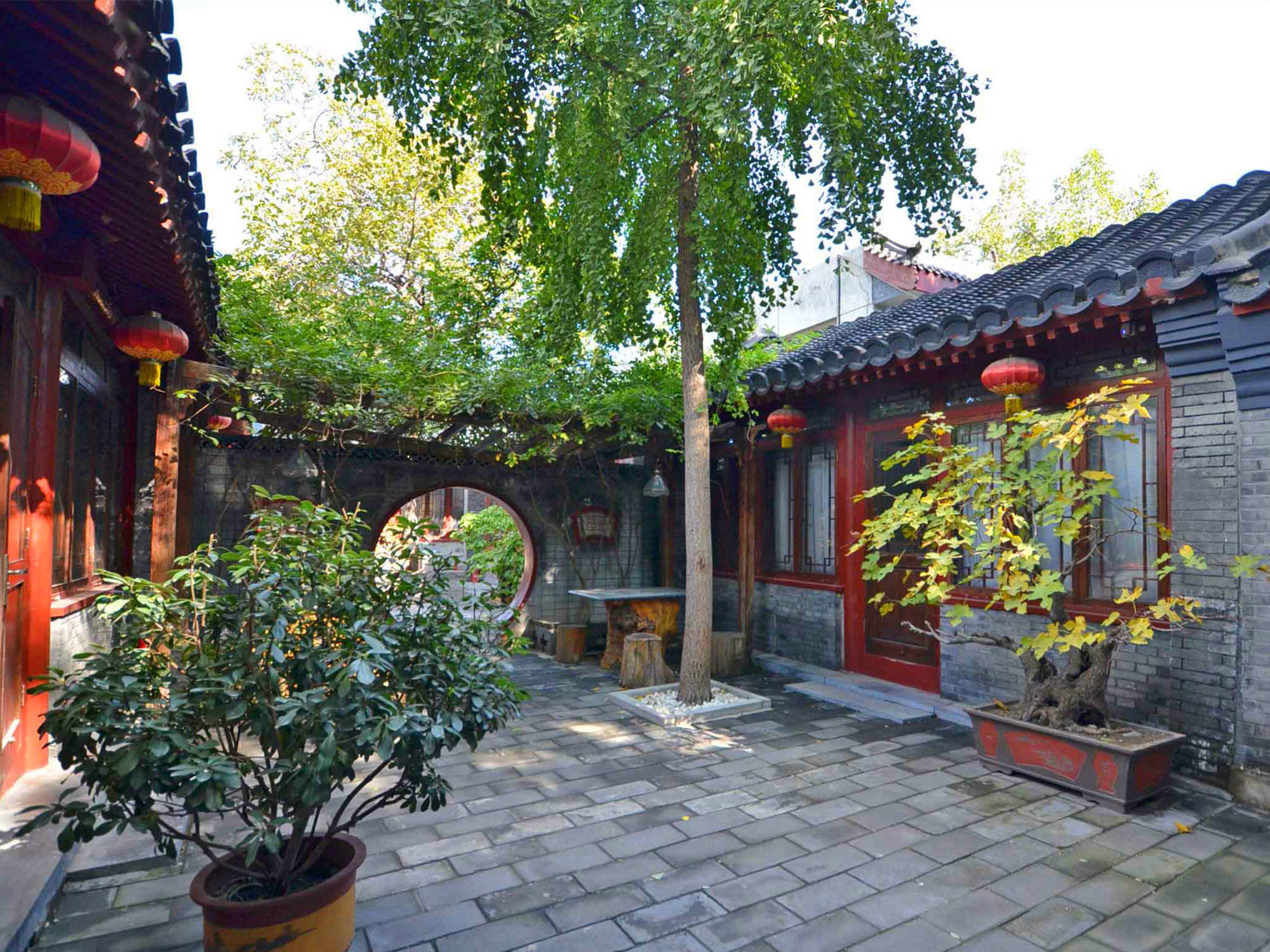 古代神奇易容术貌美女子趋之若鹜苦心十年报大仇