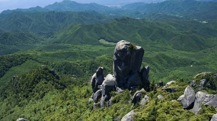 家电经销商们,接下来应该要拥抱大平台大品牌!-家电圈官网