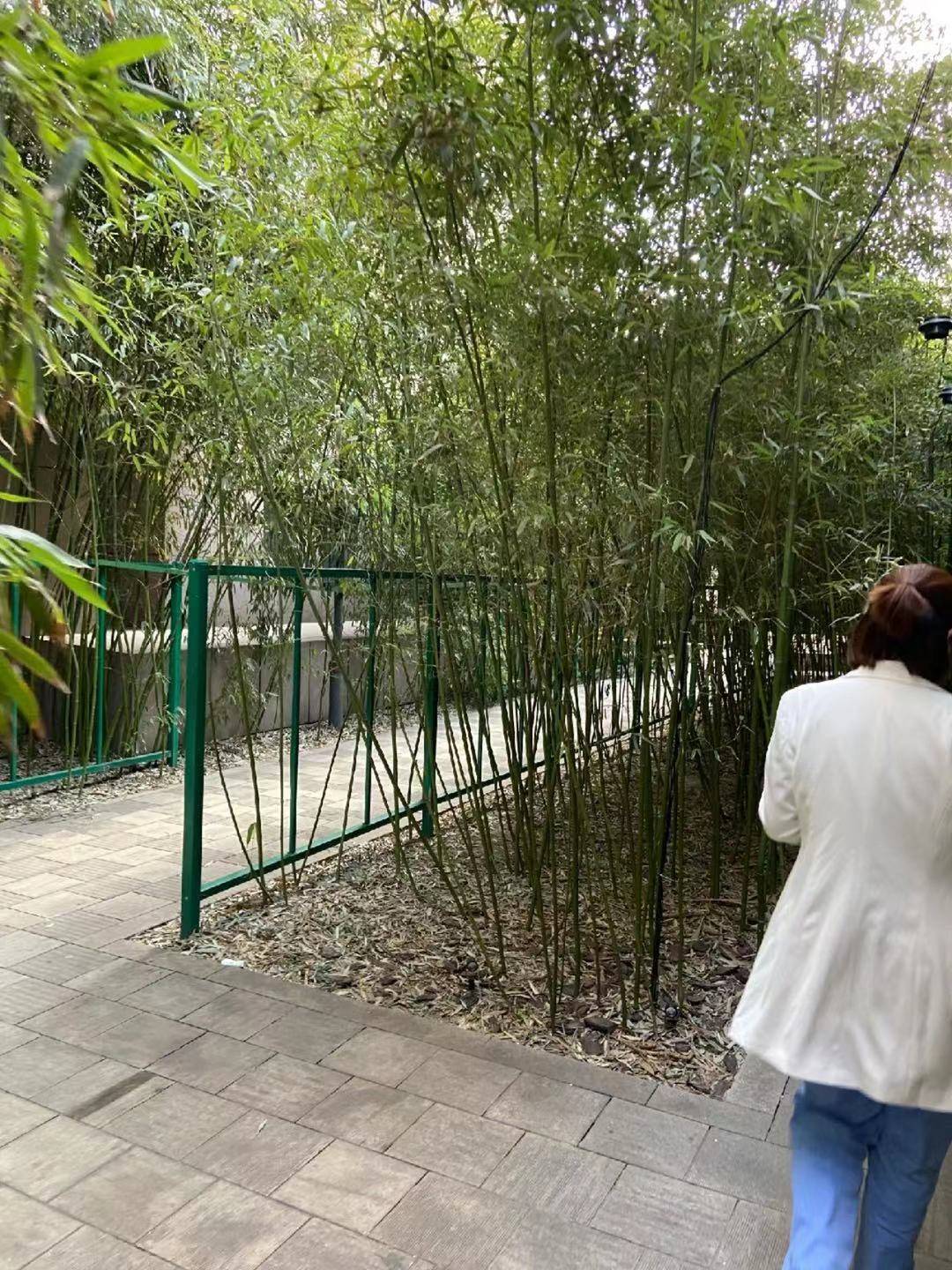 点阵|英煌王青茹院长操作点阵激光