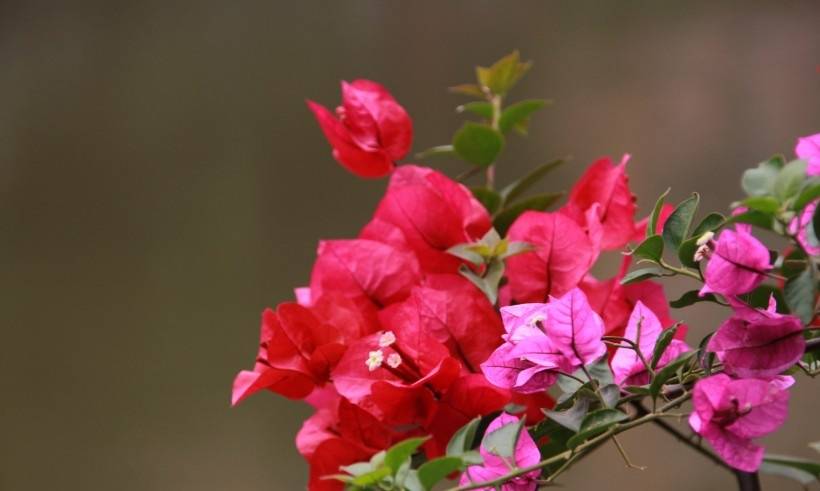 9月1日开始 好运来临 遇见真爱升官加薪 财神降临的四大星座 爱情