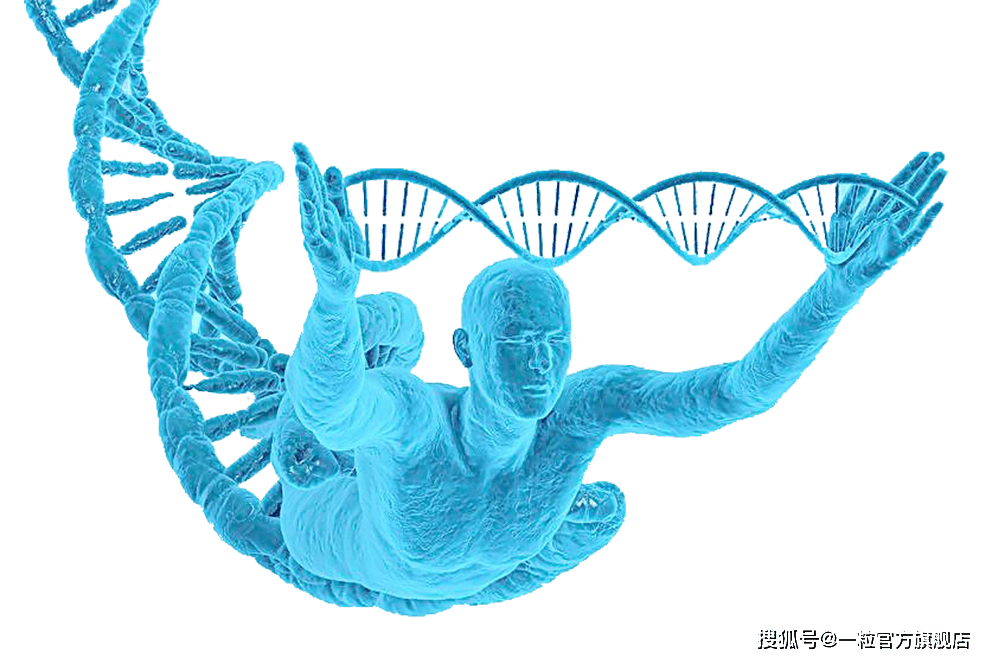 如果人体内的dna突然消失,那么会发生什么事?