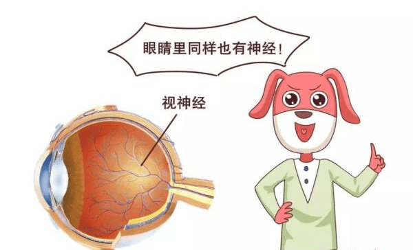 体重|李爱国主任分享：不知不觉得了糖尿病？这些早期症状你要了解