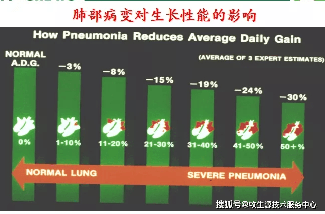 进行|秋季注意防范------猪支原体肺炎!