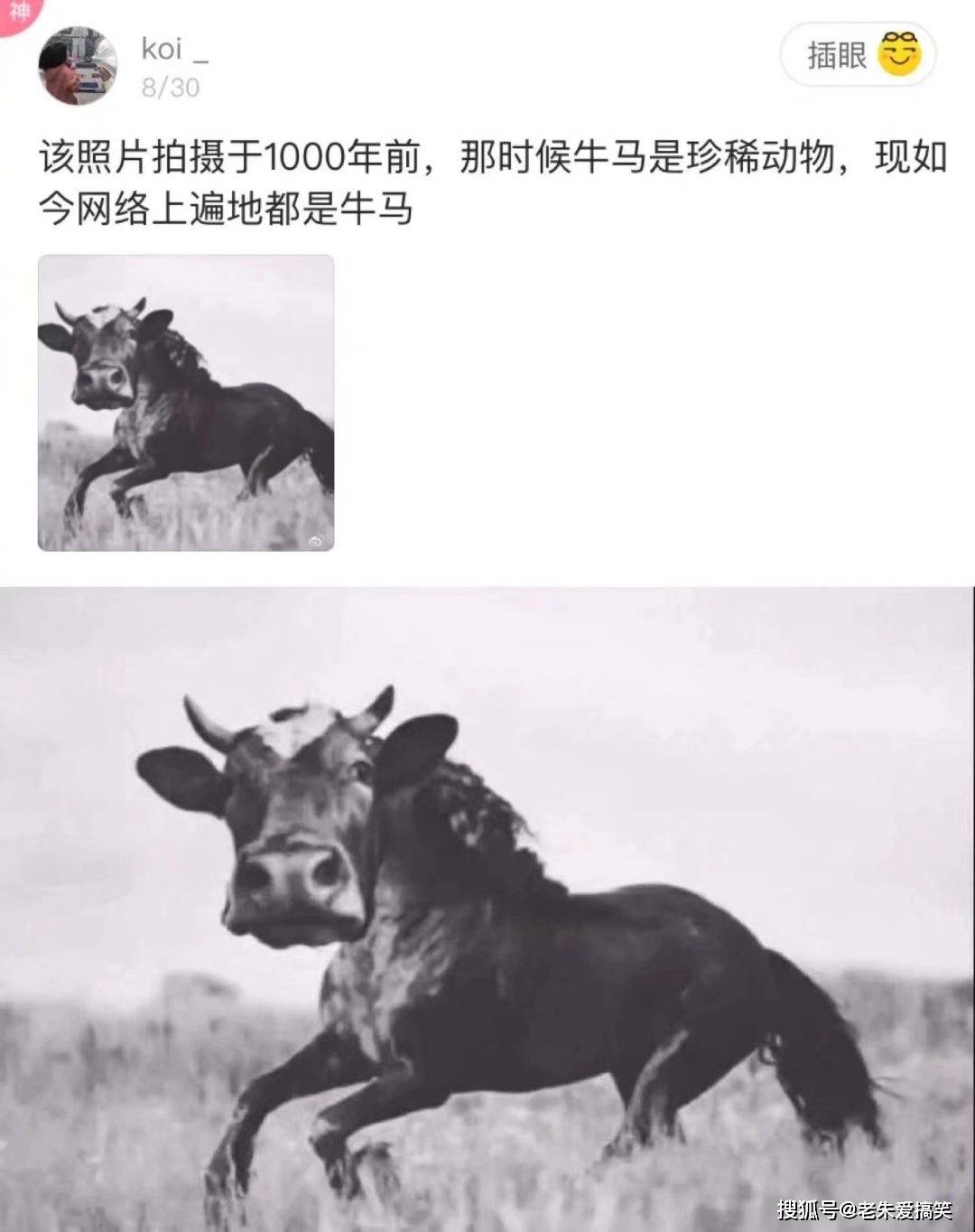 1ce91e1f0e3d47f4ae1c6c041addcd35.jpeg