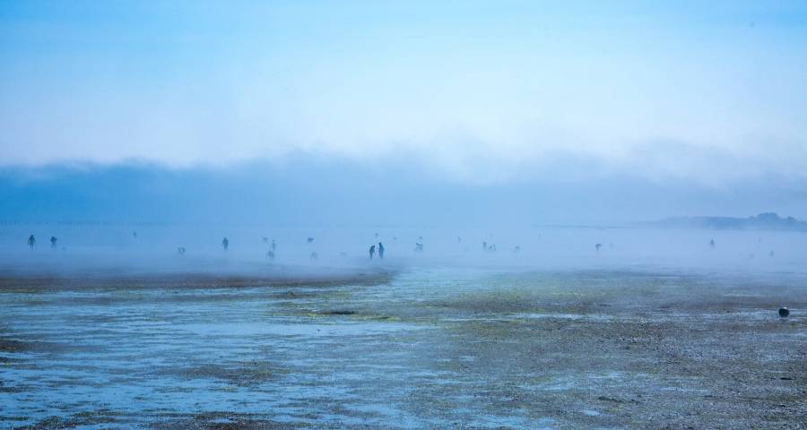 头部家电们正在上演“成功卓越伟大”蜕变三步曲-家电圈官网