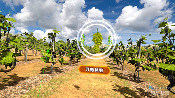 【智慧农业 | vr】葡萄采摘体验系统