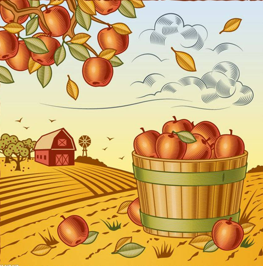 秋雨里|我爱春天 又更爱秋天