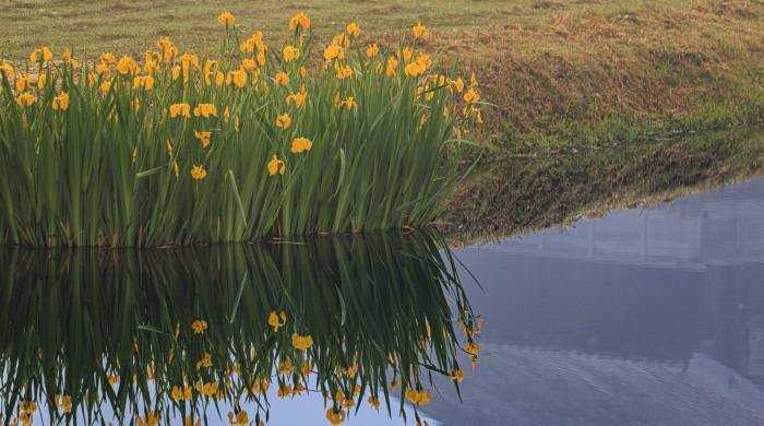 实体店还有逆袭的高招奇招？家电业只有苦招与累招！-家电圈官网