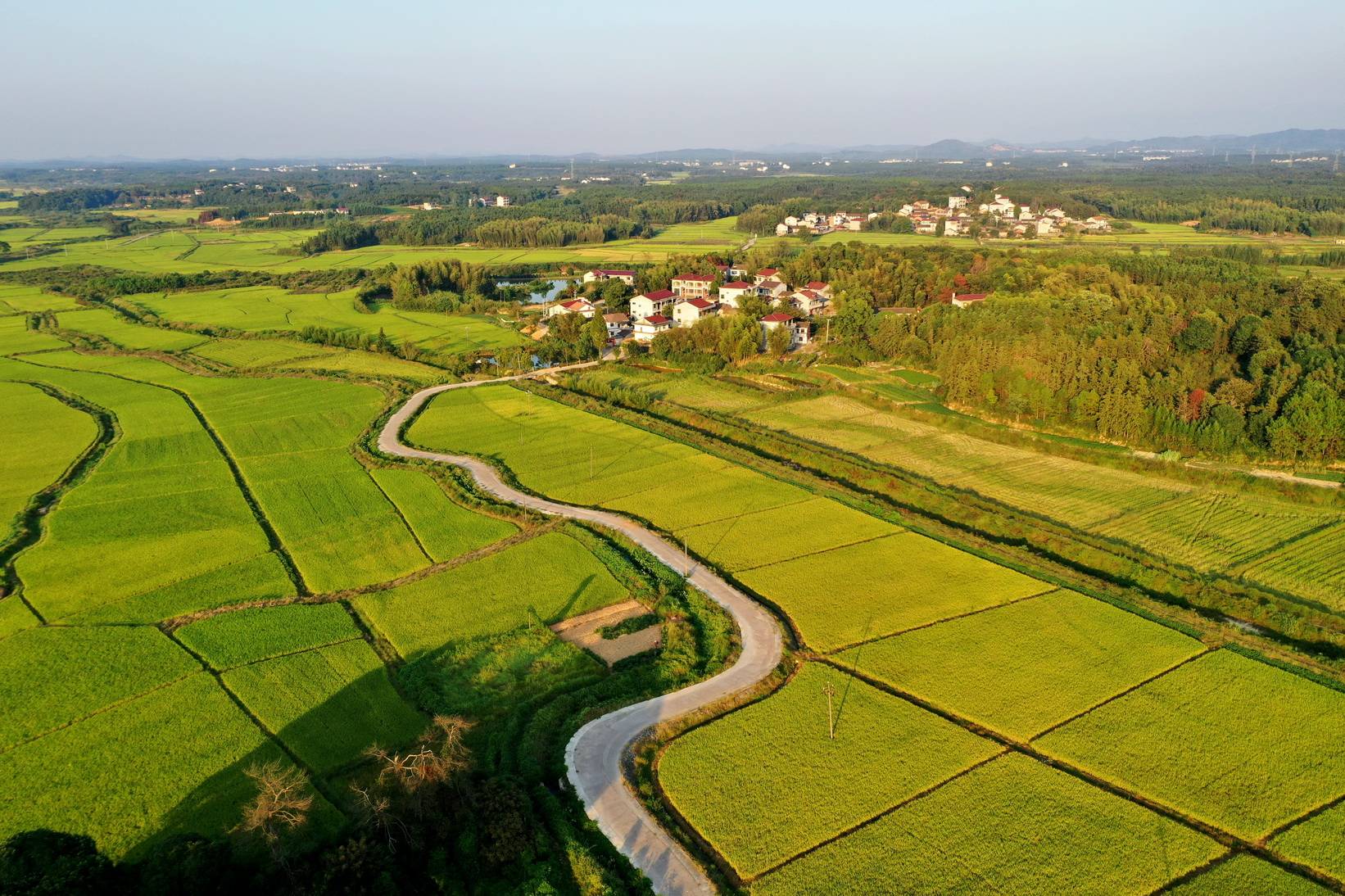 江西金溪美丽乡村秋色迷人组图