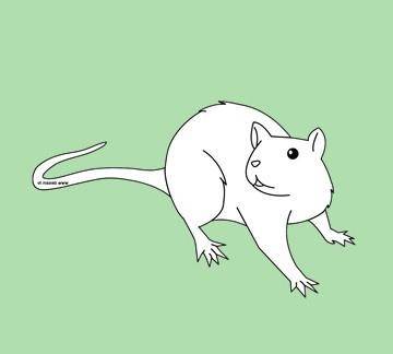 抬头不见低头见猜一生肖 8480782e38d34f75b3c228c4b9263735.jpeg