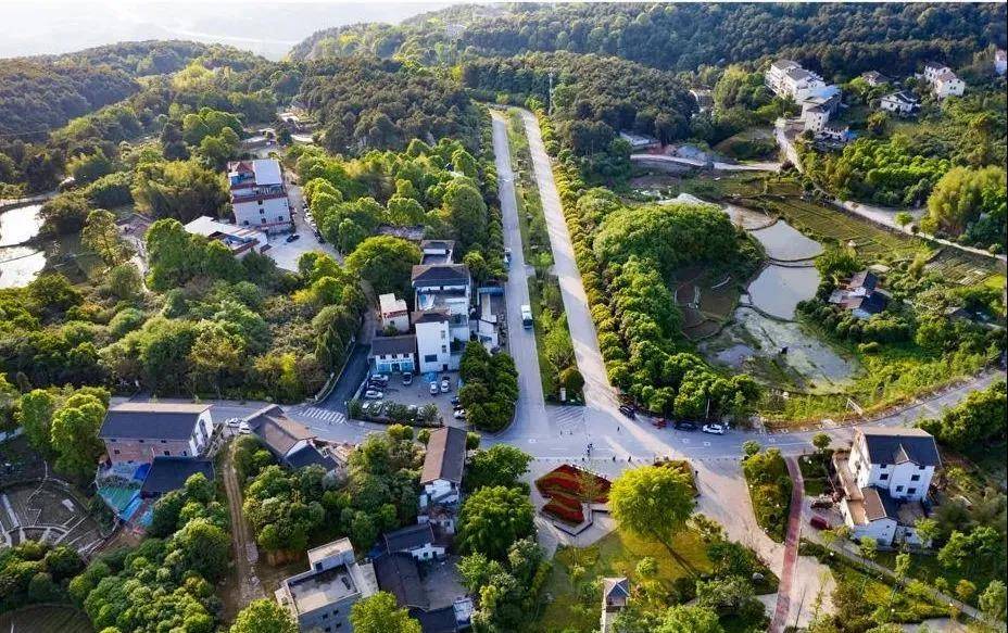 国庆郊游推荐丨逃离城市喧嚣,感受玉峰山"重庆之肺"_房车