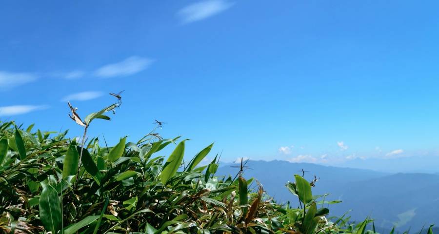 打造家电好产品的核心逻辑变了-家电圈官网