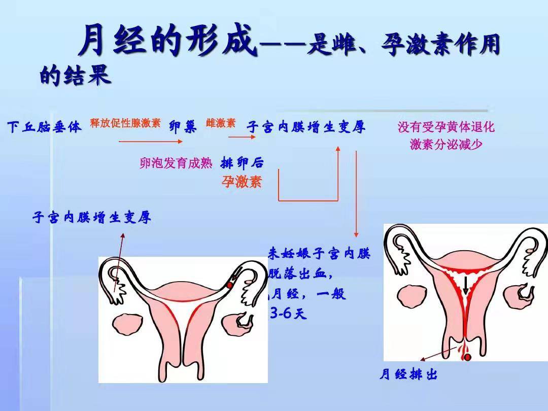 为什么女人一定要调好月经?怎么调才好?