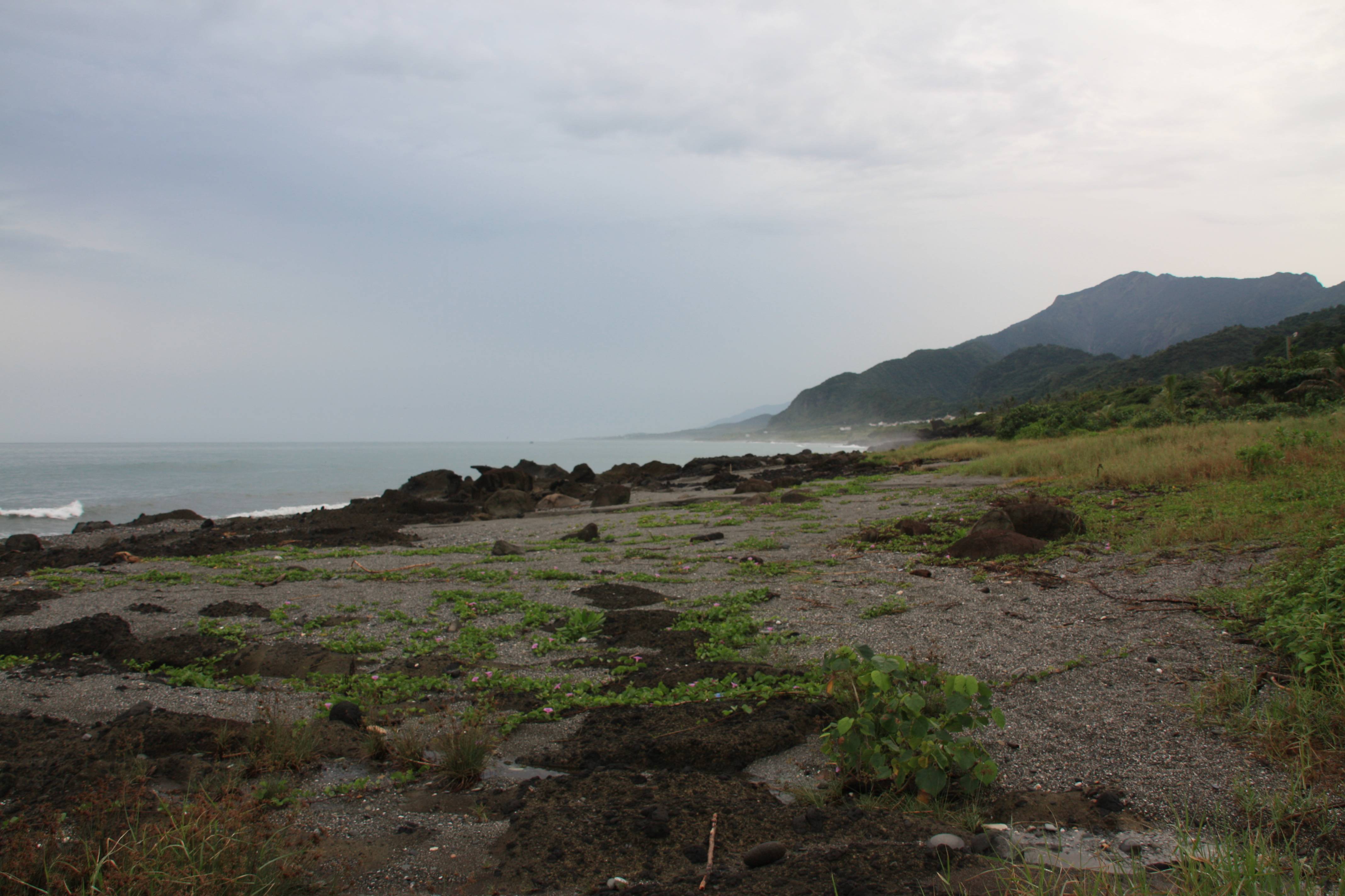 2011年台湾自由行随记之六 清水