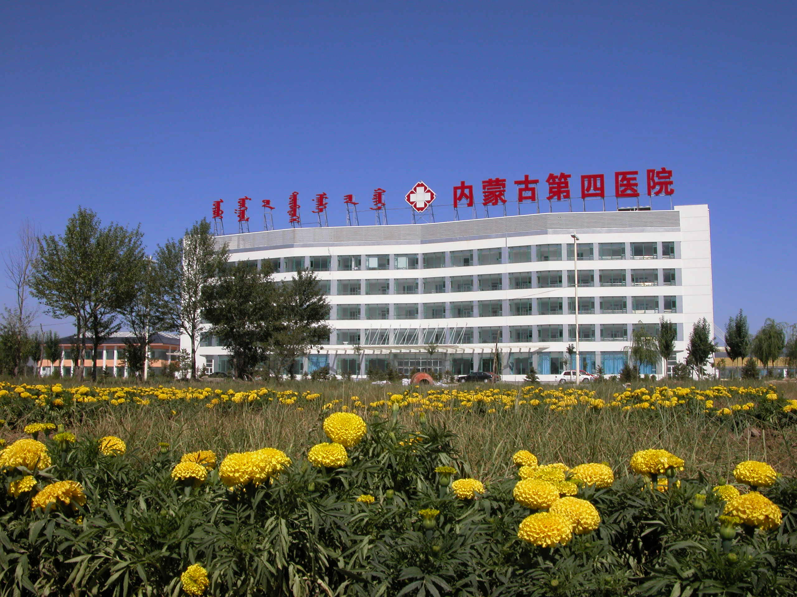 内蒙古第四医院建设云上智慧医院提质增效惠民生