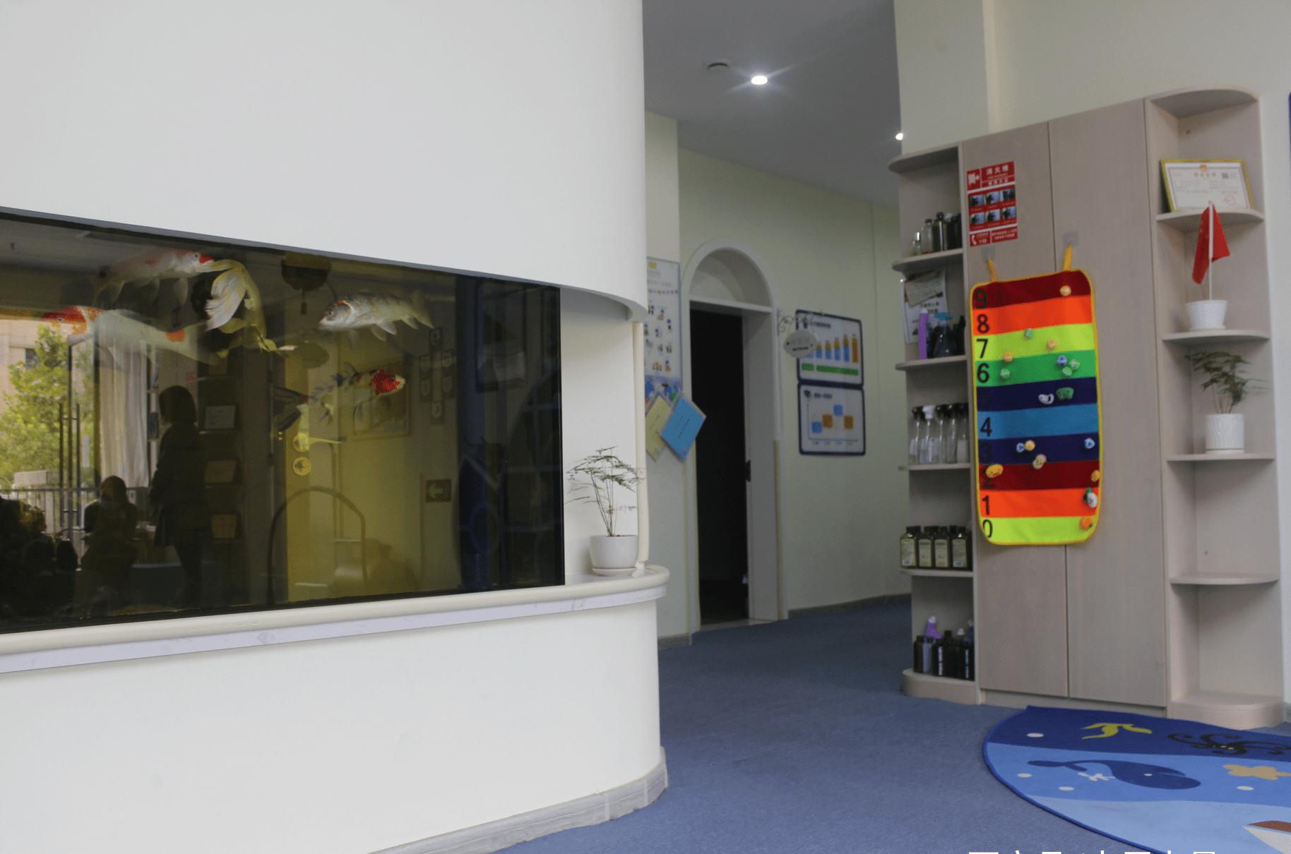 成长期|那些看好托育行业却没有行动的人,终于在小蓝鲸托育找到了答案