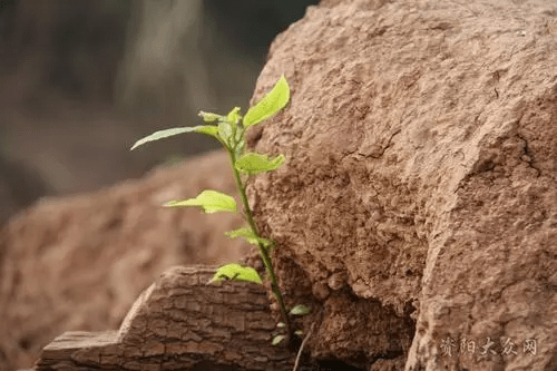 天气|运动神经元病秋冬季节要注意哪些问题？