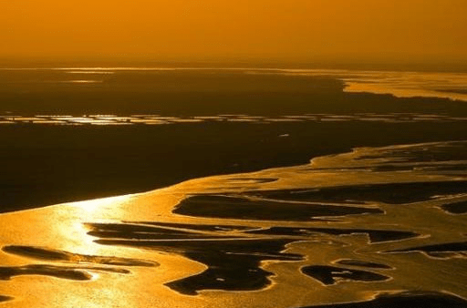 黄河入海有多大威力？每年造就陆地3万多亩，如今成为著名景区