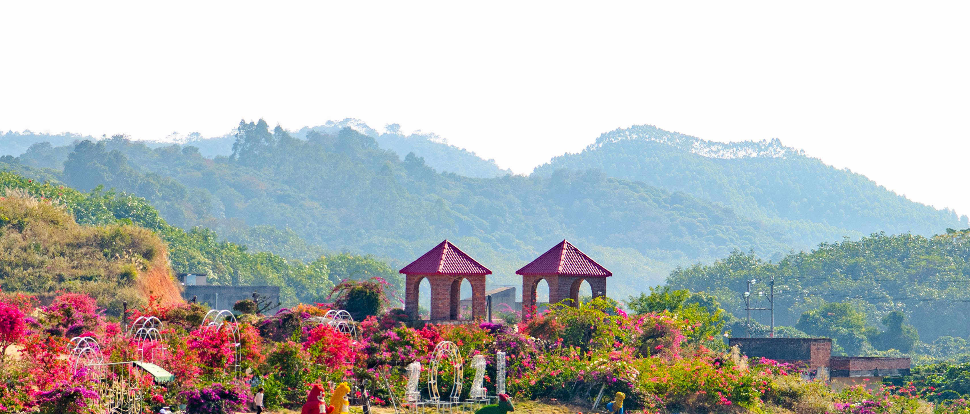 网红打卡地粤龙山,到底是什么颜色?