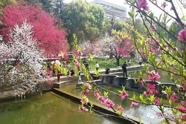 原创
40岁还想玩的女人,通常会有这4个表现,是一种危险的信号
01 出手大方,消费激增02 经常外出,作息混乱03 房事冷淡,如同交差04 喜欢网聊,神神秘秘