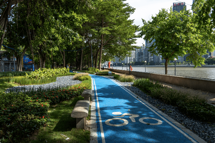 大坦沙岛环岛碧道1.27公里东岸段正式完工!