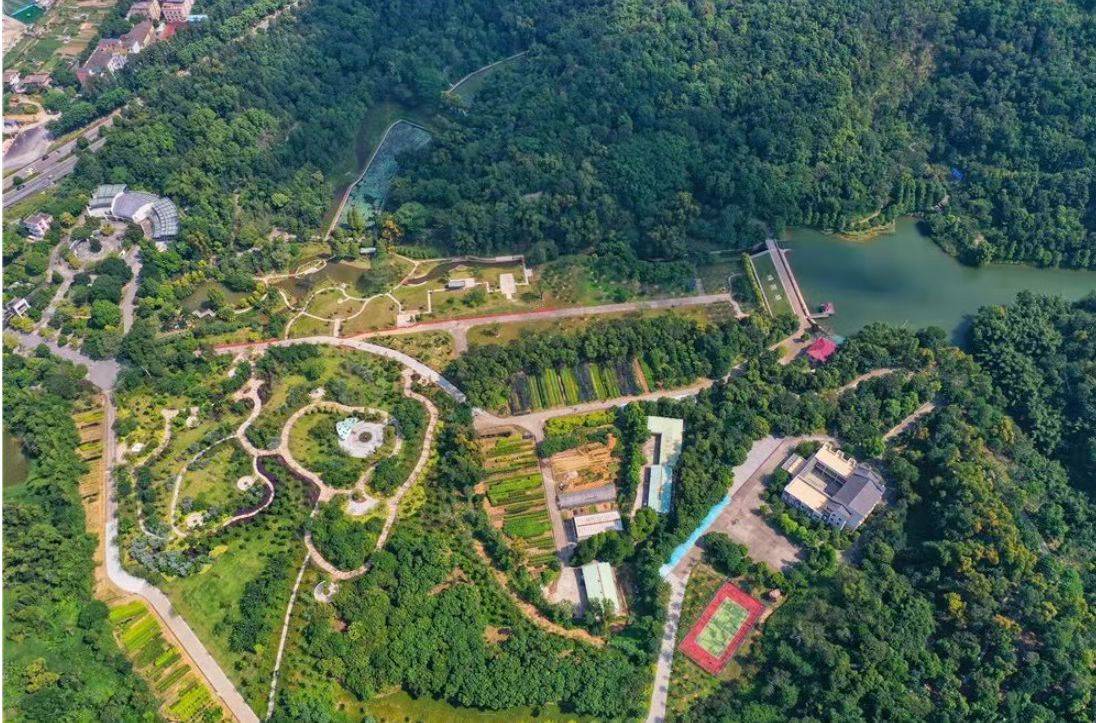 坐享16000亩五桂山城市绿肺鲜氧,以生态筑家,步行直达树木园,金钟湖