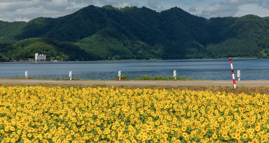 渠道经销商这些年都在看空电视机-家电圈官网