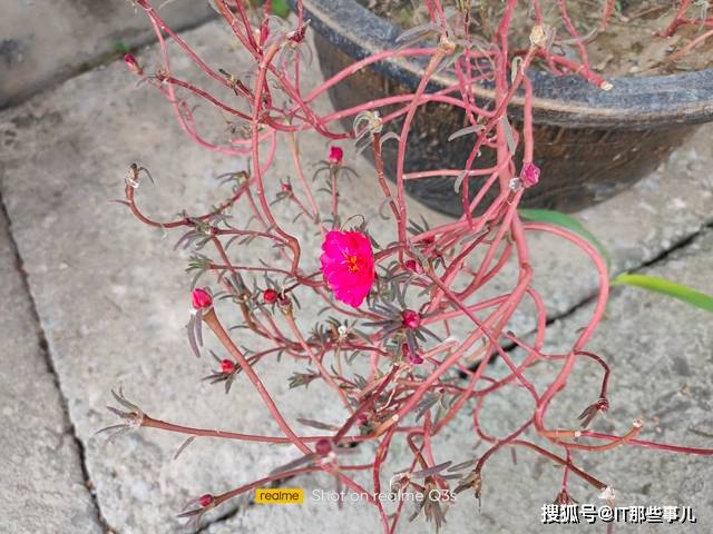 骁龙778G和5000mAh大电池 性能和续航拉满 realme Q3评测