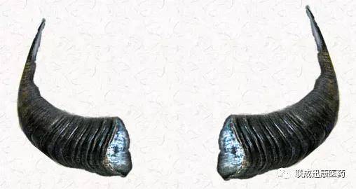 的评价研究,段金廒教授与他的课题组在国家科技项目资助下对犀角,广角