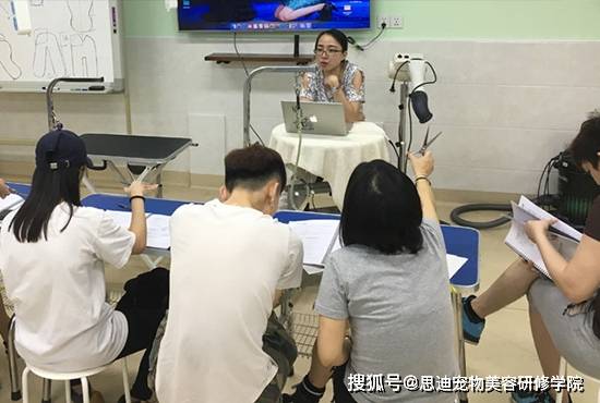 免费培训美容师 f6f6b2bf9b3c4b899dab028fae0ad31f.jpeg