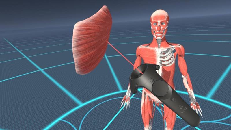 训练伤vrarmr教学系统