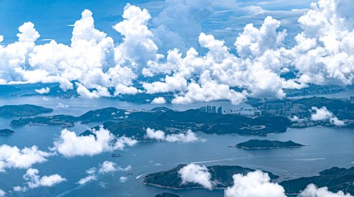 都说实体店日子难过？电商平台的家电运营商们更痛苦！-家电圈官网