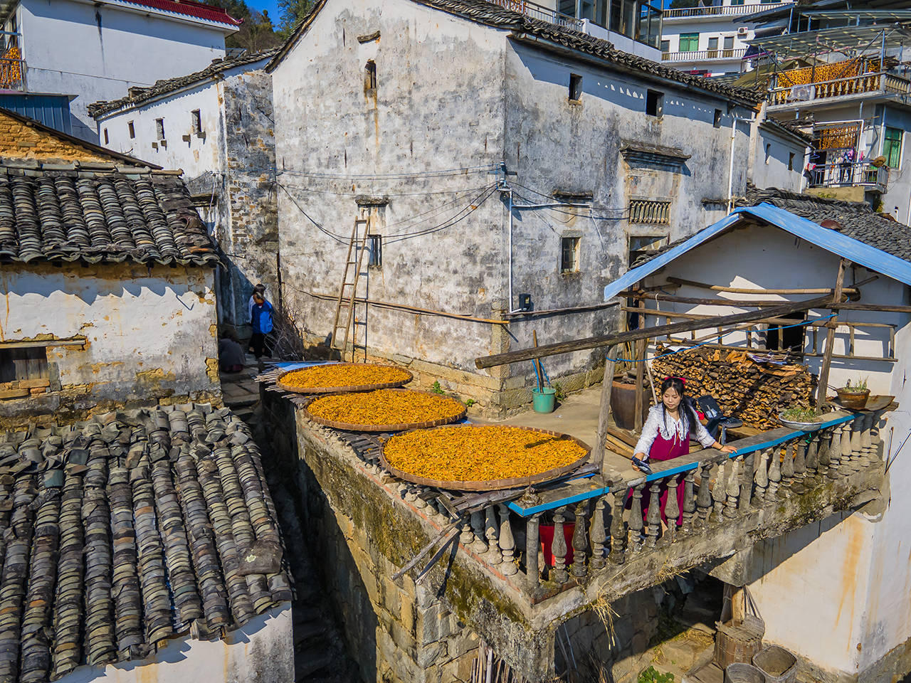 上丰乡|黄山小众旅行地：秋禧歙县，姬公尖赏别样晒秋