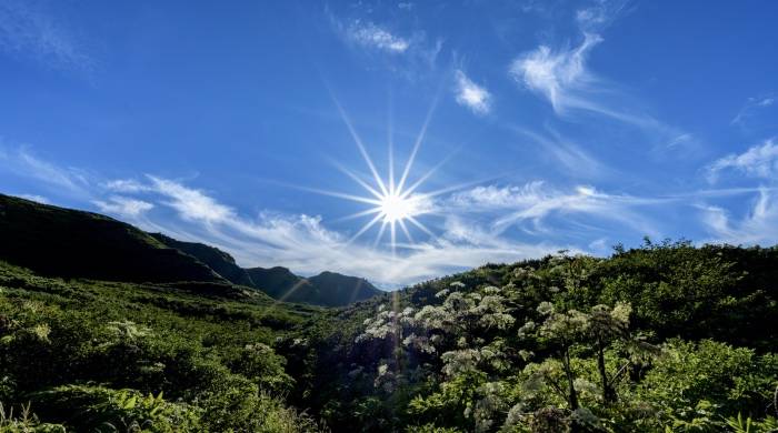 新消费带火的“网红品牌”,有哪些模式值得家电企业学习?-家电圈官网