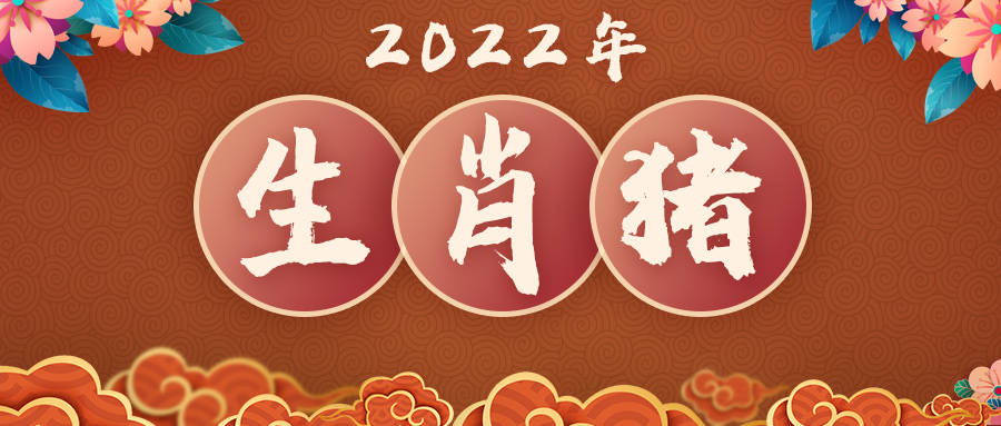 事业|董易奇2022年生肖猪运势大全