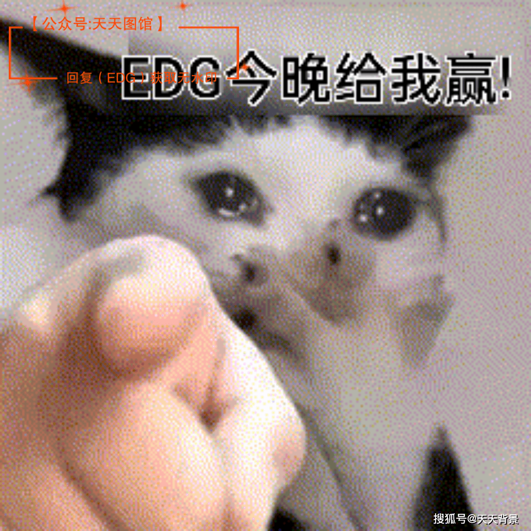 EDG表情包 edg今晚给我赢!你做到了!不破不立 s11表情包 EDG加油!