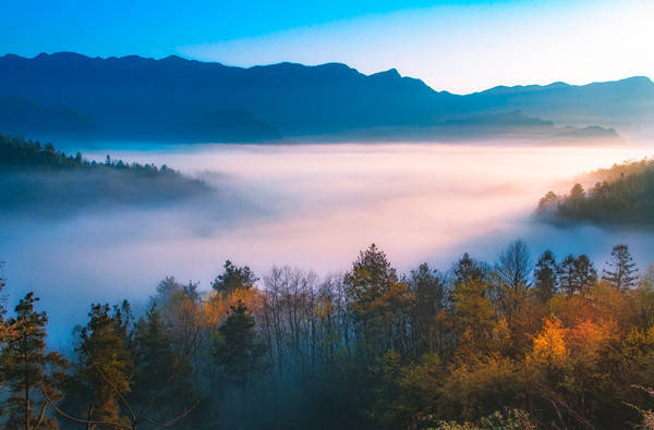 文明出行，不负武隆最美的风景