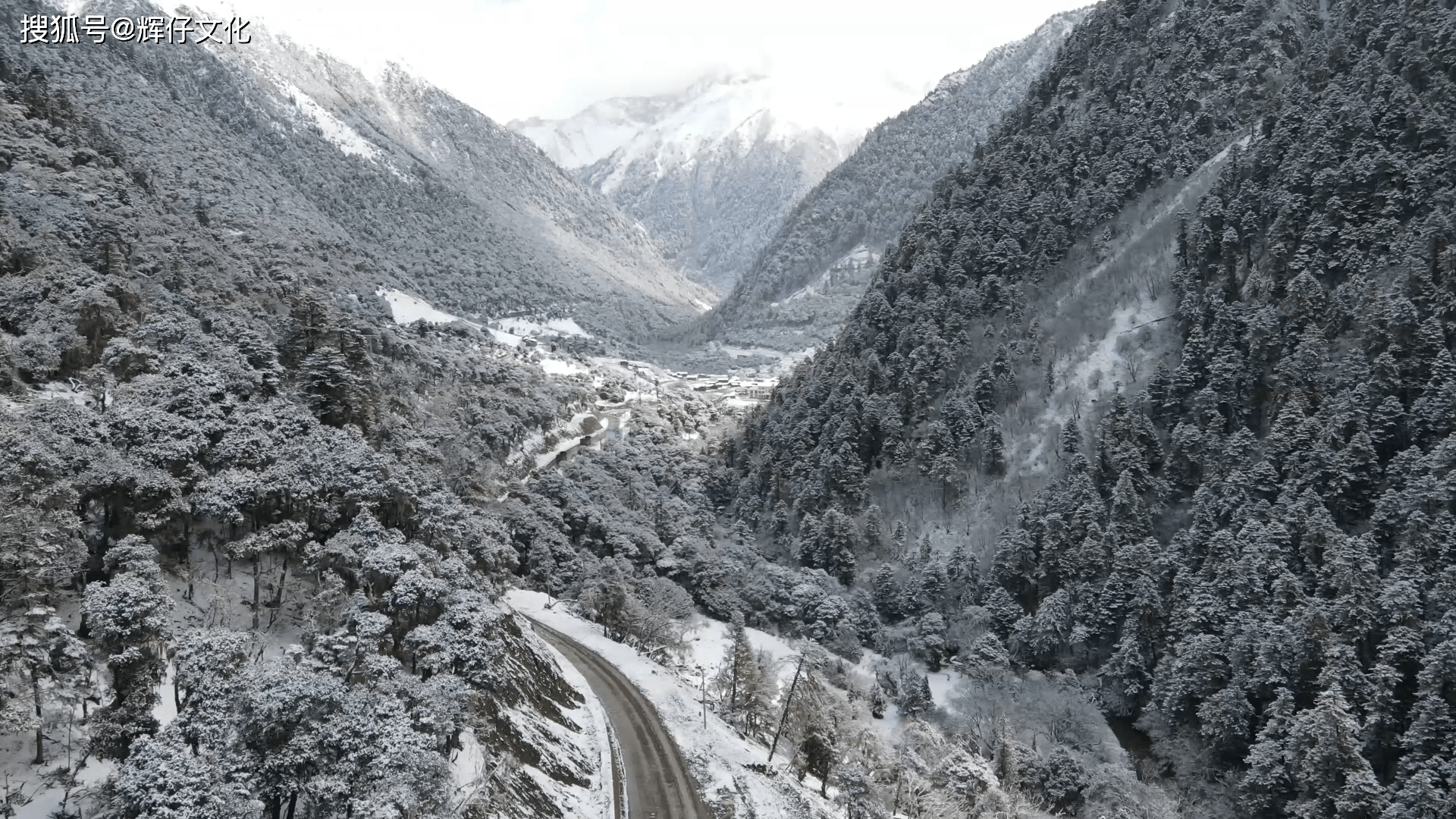 立冬之雪来的匆忙走的匆忙