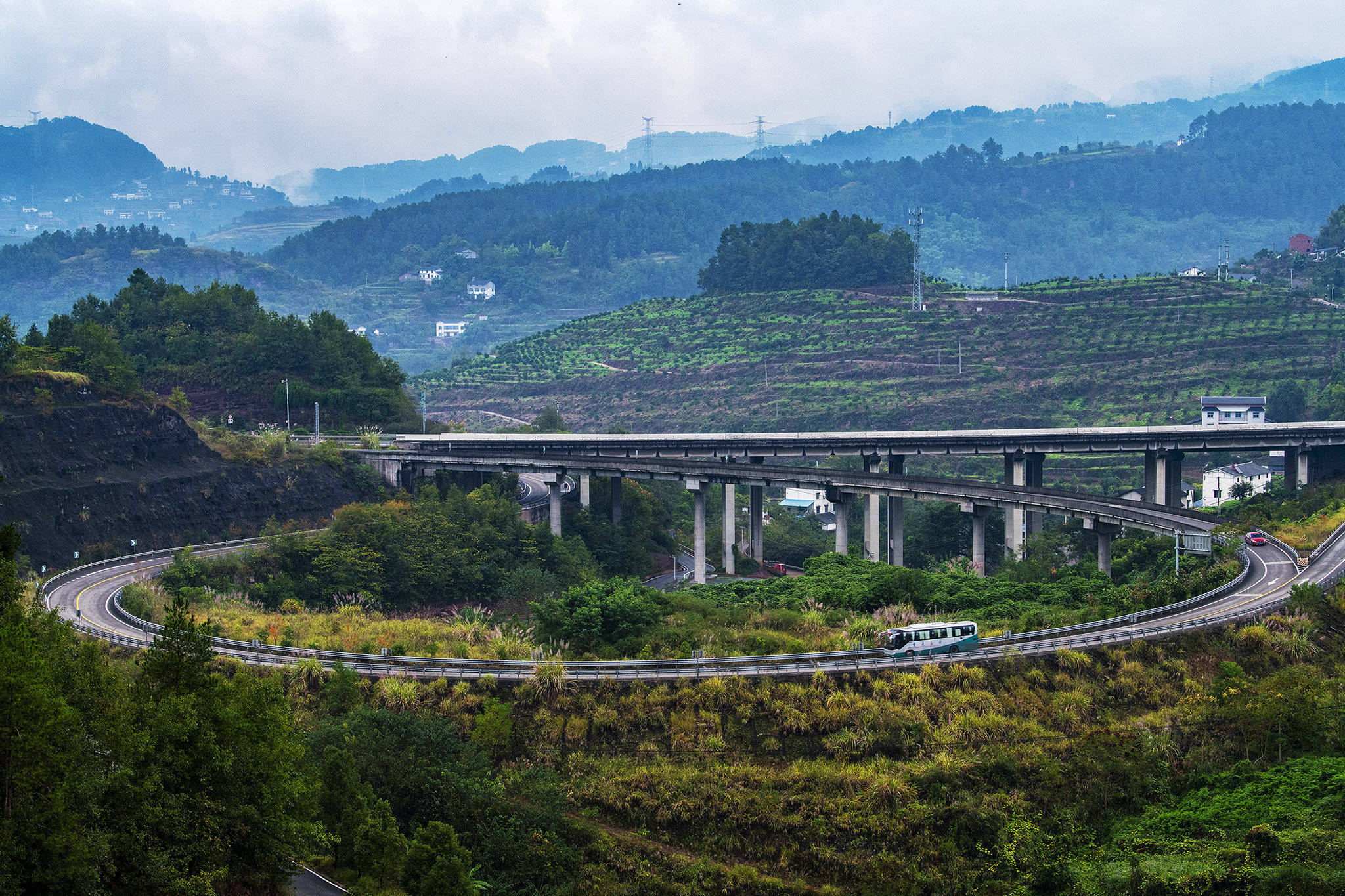 重庆綦江赶水石房村:特色产业旺,村民心里美