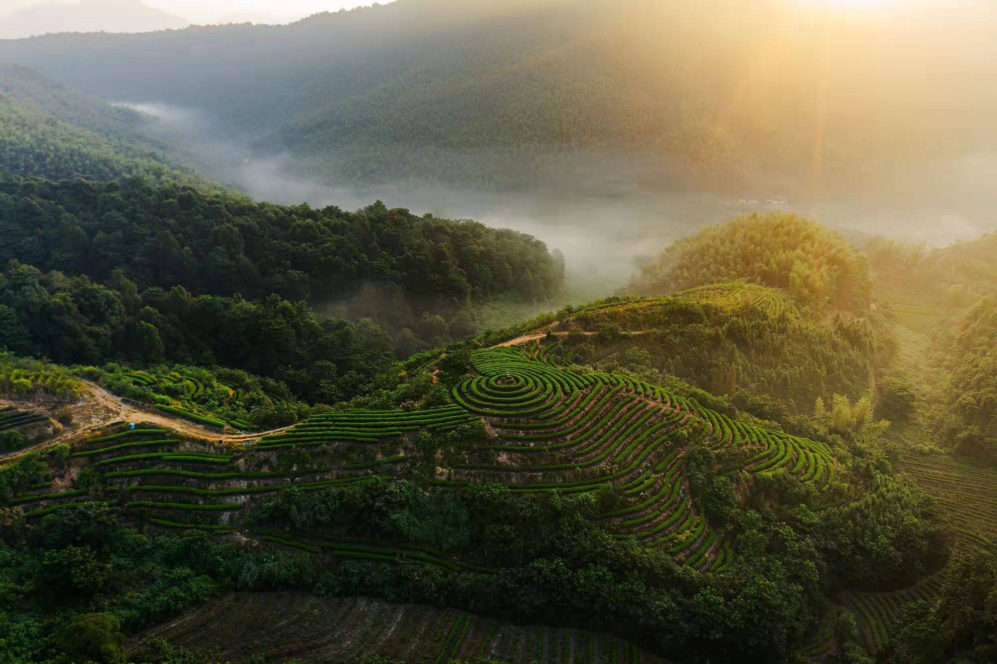 因为|在英雄的故乡，弋阳叠山，喝杯茶长志气