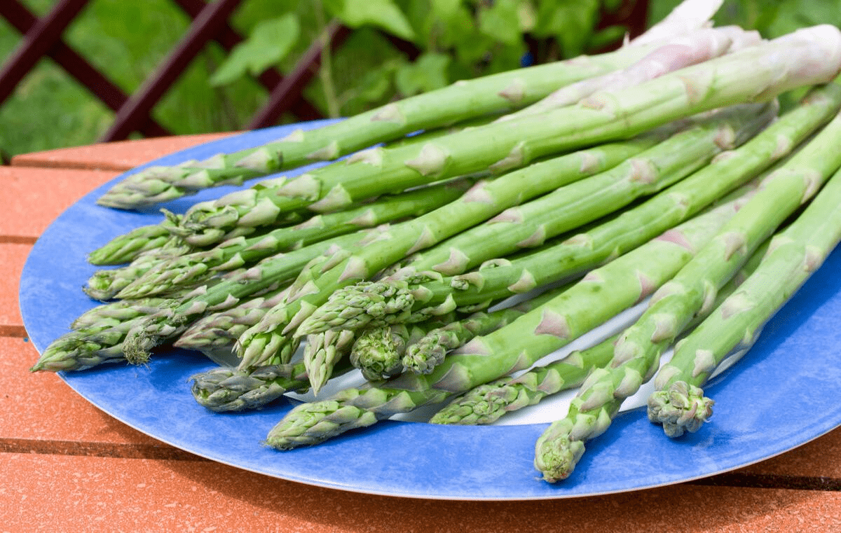 顾言|21岁校草，尿酸飙升960，双肾衰竭，医生怒斥：1物怎能当水喝