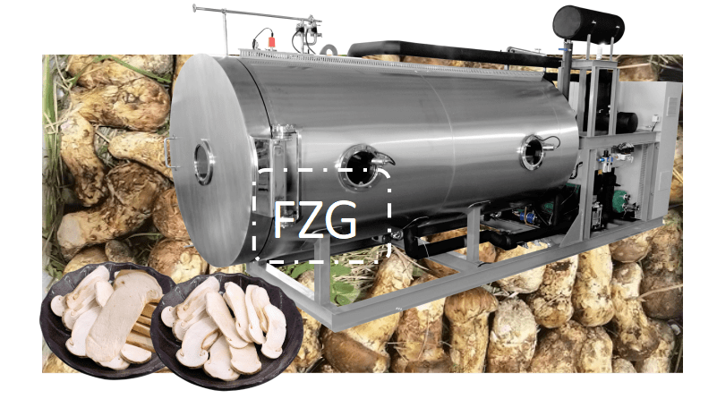 松茸食品冻干机设备和野生菌冻干加工方法