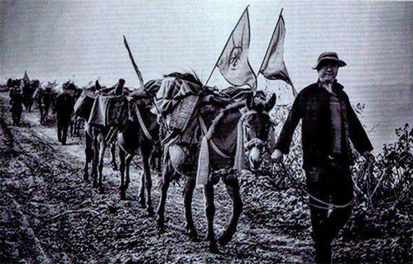 原创山间铃响马帮来茶马古道的马帮传奇