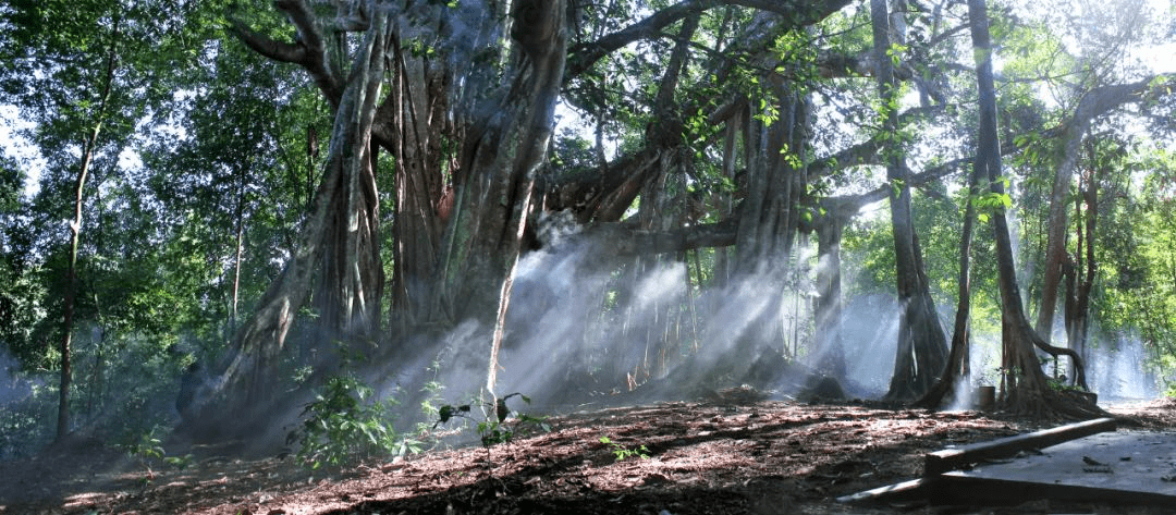 美丽云南(第二季)|万象之城大美秘境——美名:德宏·盈江县
