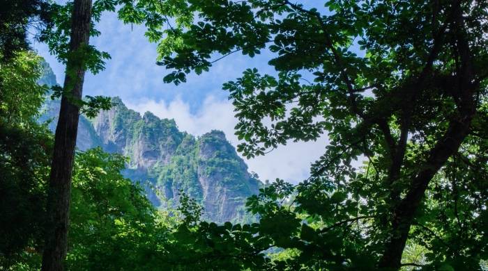 抖音电商加速连新东方也直播带货，家电厂商们还在等谁？-家电圈官网