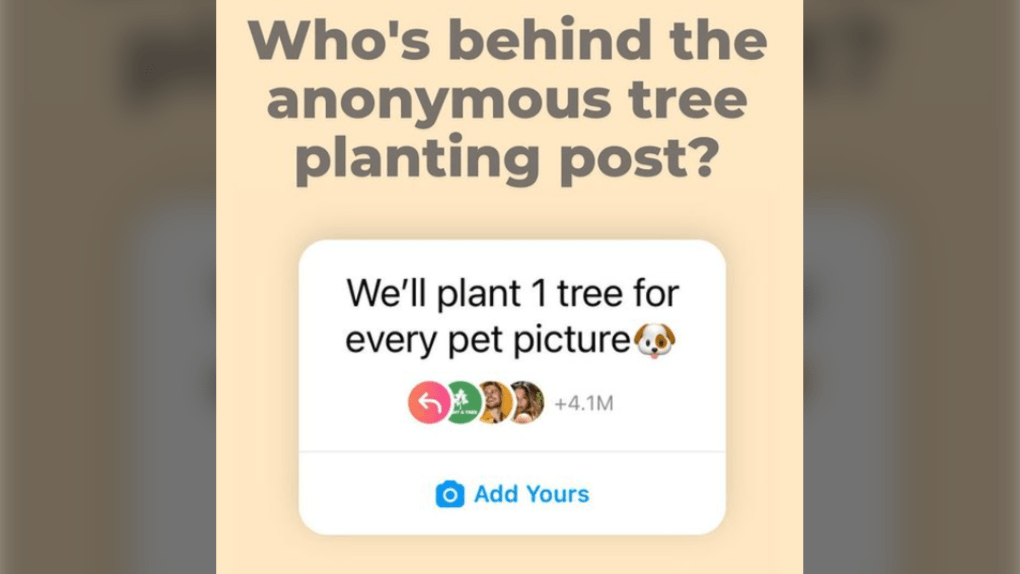 534a0d1ff2464d26a7f1de5376749415.png