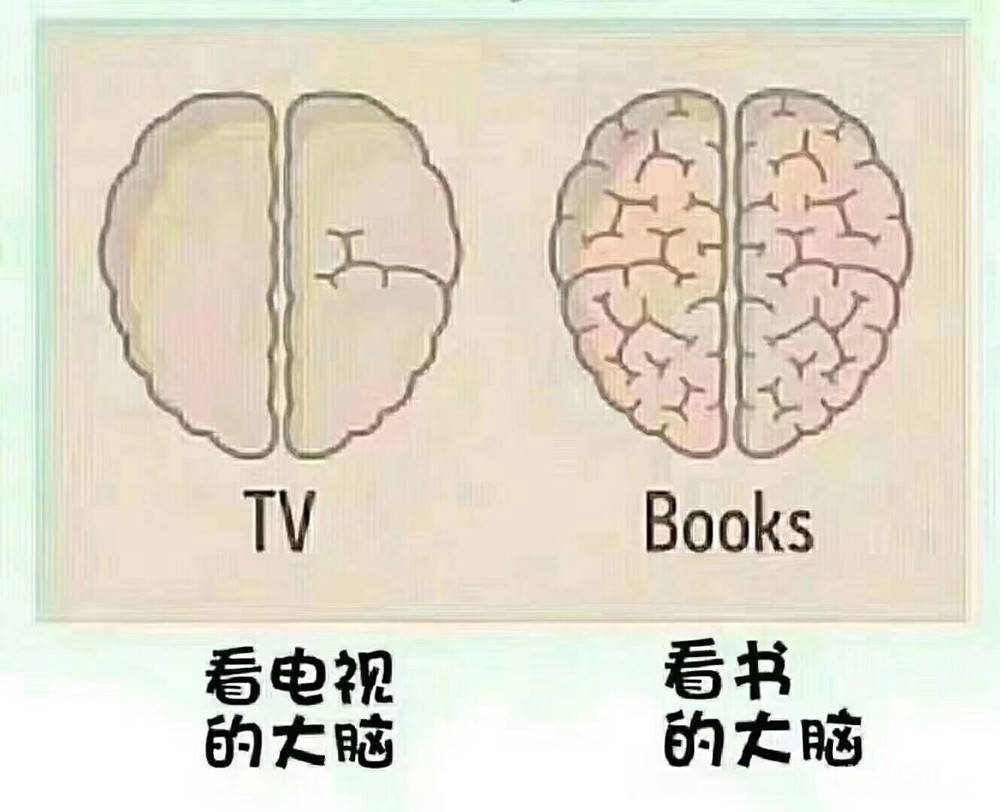 098cc7e4dae74229b5a146d353b4145d.jpeg