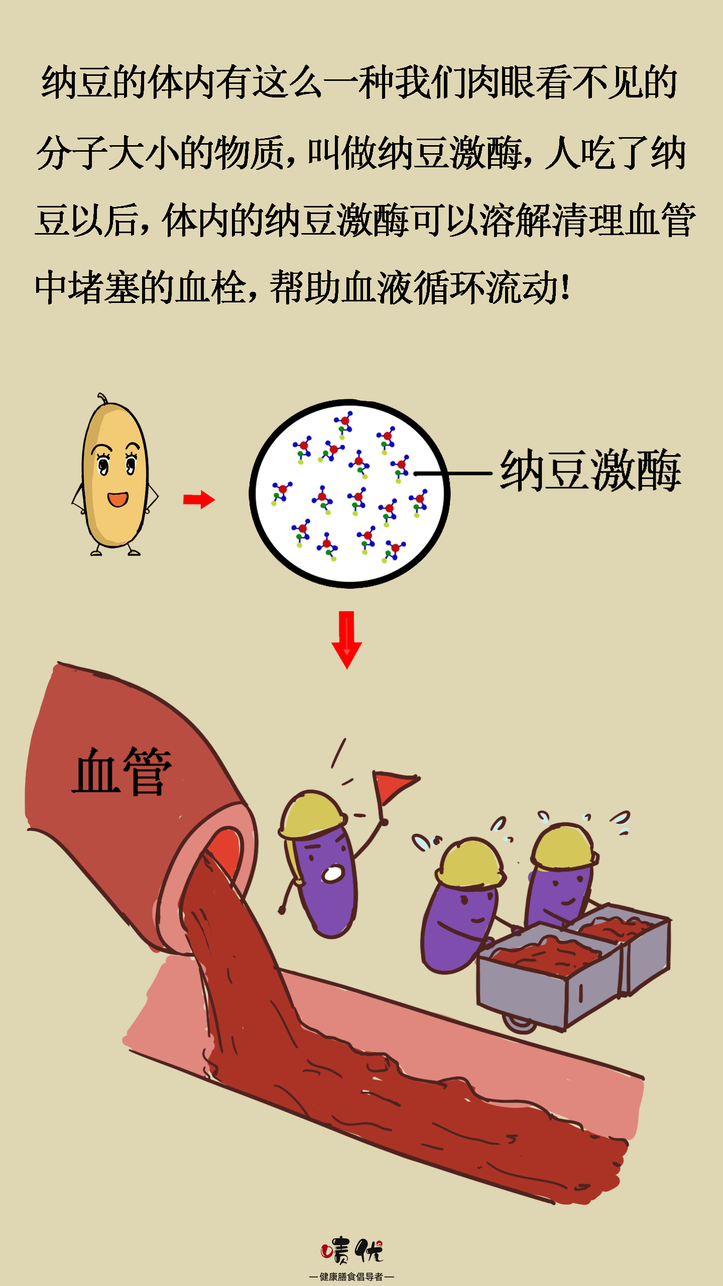 漫画|一图读懂为什么纳豆激酶可以溶解血栓?