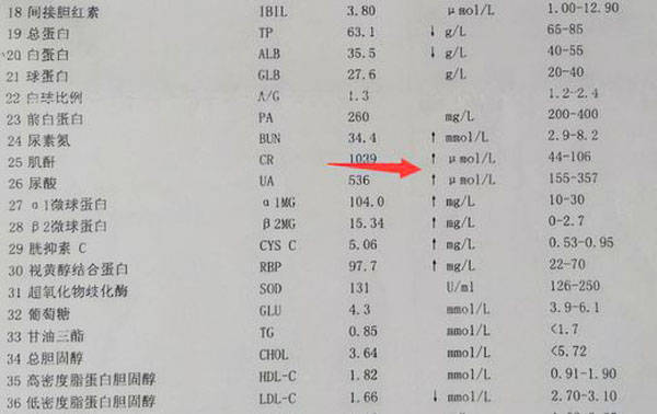 肌酐达到1000怎么办