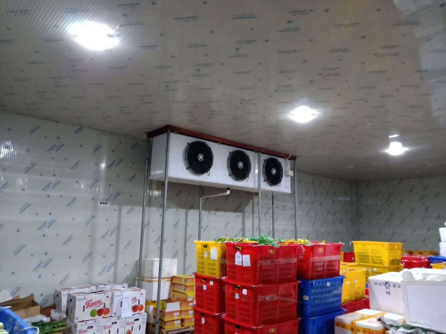 放,就在广州找一家专业的水果保鲜冷库厂家建造一款小型的水果保鲜库